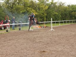 img_9479_web